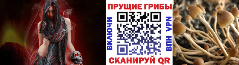 Галлюциногенные грибы прущие грибы  blacksprut   Миллерово 
